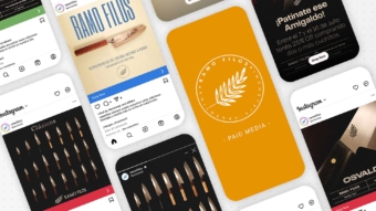 Ramo-Filos_Grid_Pauta