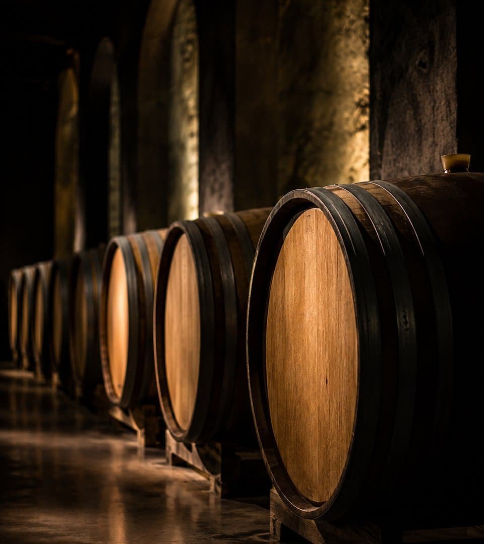 Barricas de vino